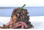 Biefstuk met champignons